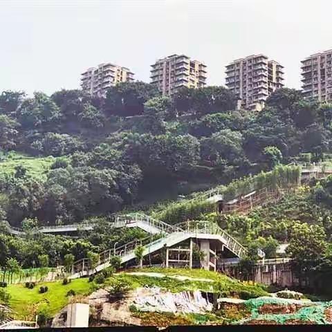 大化步道的变迀