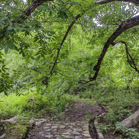 又回“核桃谷”