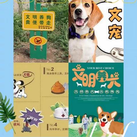 【桥东区建国路小学•校园时讯】小手拉大手，共创文明城之文明养犬