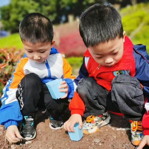 “快乐种植，收获成长”——芳草地幼儿园中（2）班
