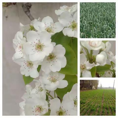 越历青山的美篇