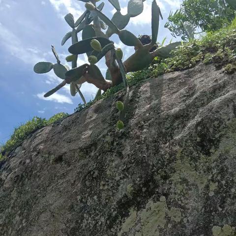 七彩云南，旅游天堂！