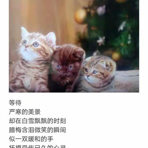 越历青山的美篇