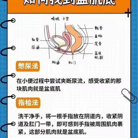 亲，你的盆底肌还好吗？