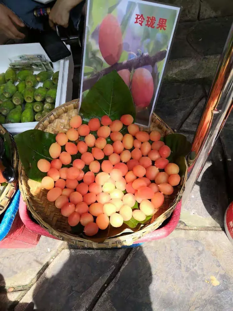 玲珑果，没敢尝试