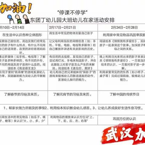 东团丁幼儿园大班“停课不停学”一周计划