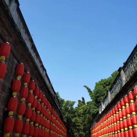 溯回古院