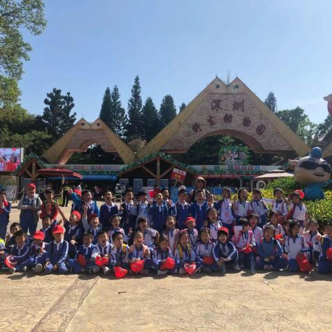 桂园小学深圳动物园一日游