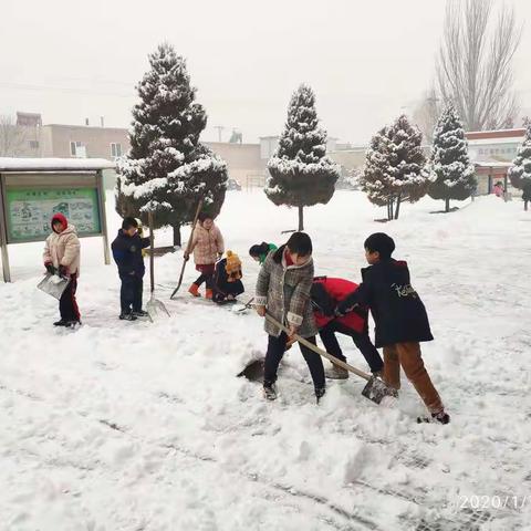 齐心协力把雪扫，师生协作暖人心