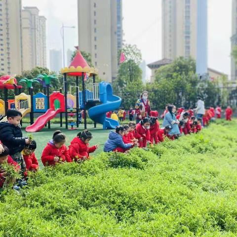 “拥抱春天，种植绿色”澜菲溪岸幼儿园植树节主题活动