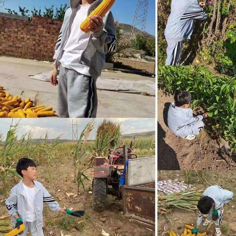 沙二小中秋节德育教育系列活动