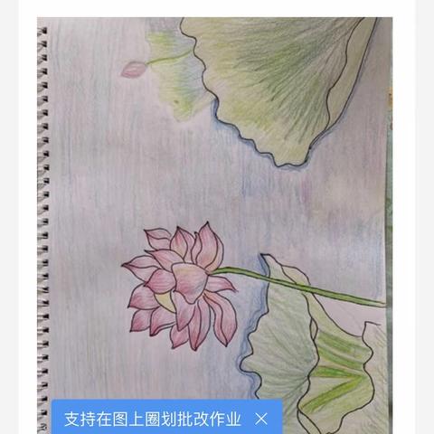 闽江路小学美术课线上教学第四周