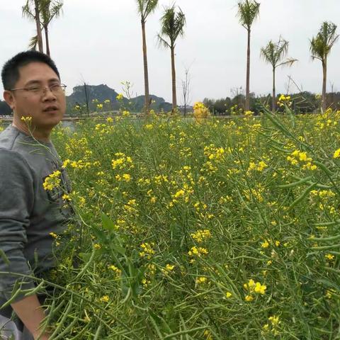 九凌湖 一个去了不想再去的地方