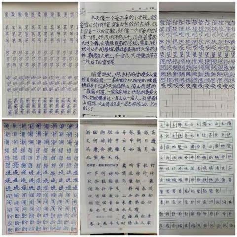 “兔”飞猛进，乐享成长——锡林浩特市第六小学四年级语文寒假特色作业展示