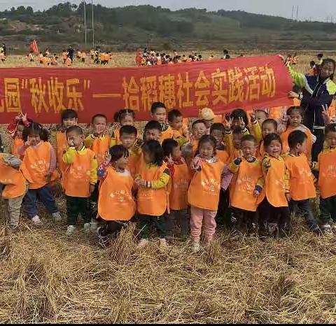 爱心幼儿园“秋收乐”——拾稻穗社会实践活动