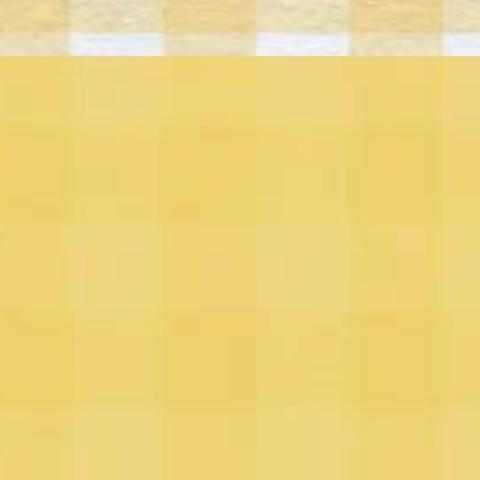 津南一幼“停课不停学”大班组