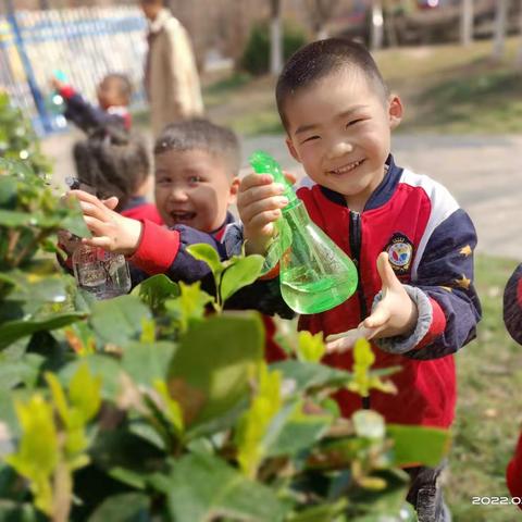 绿树蓝天🌳不负春光——橡树湾明发贝贝欢幼儿园植树节主题活动