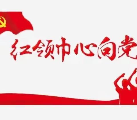 南林子小学“认党旗识党徽争做红色接班人”主题活动——学习《中国共产党党徽党旗条例》