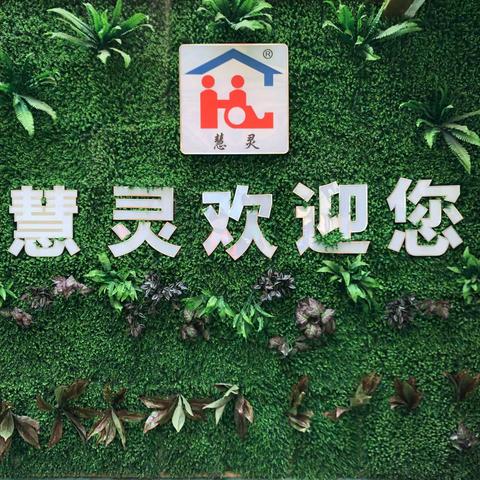 “慧灵有爱   从不孤单”