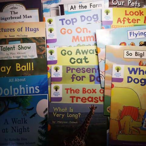 小西妈双语工程2008期183号amy打卡Day5-birthday