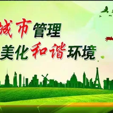 任泽城管监察大队:正月初六齐上阵 市容环境再提升