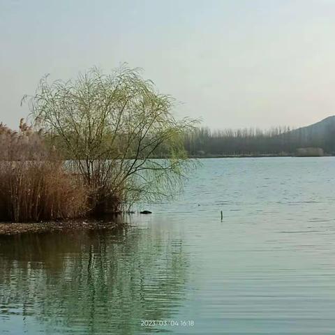 20230304倚东风，豪兴徜徉