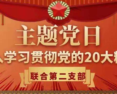 民办幼儿园联合第二支部11月份支部主题党日活动--深入学习贯彻党的二十大会议精神