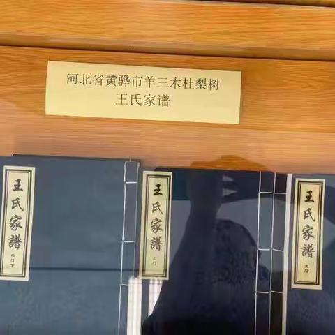 羊三木王氏家谱参展金陵图书馆举办全国回族姓氏家谱展