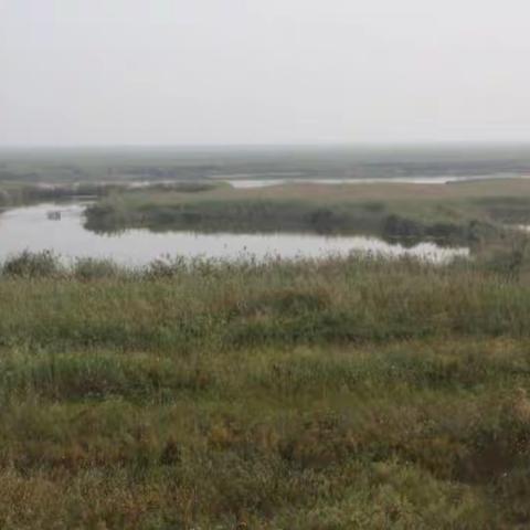 《中亚》之父（四）