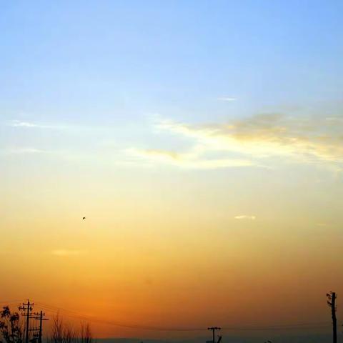 《中亚》之父（八）