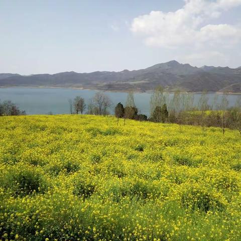 故县水库风景篇