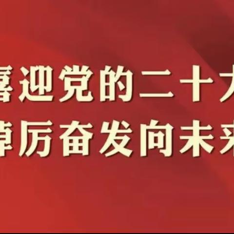 个金联合党支部组织观看党的二十大开幕式