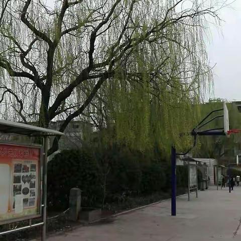 春光烂漫