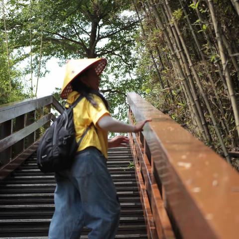 2023.5.20冷水坑绿道（四）