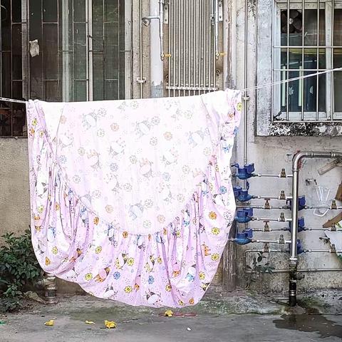 2023.5.21小区杂摄(一)