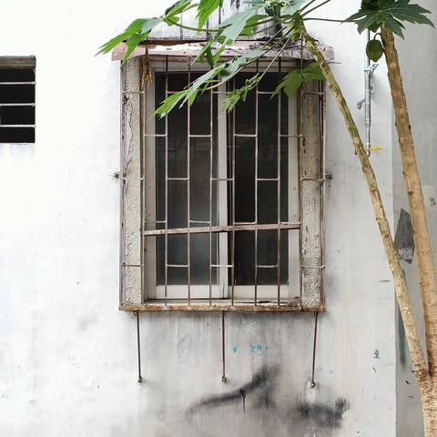 2023.5.22小区杂摄(一)