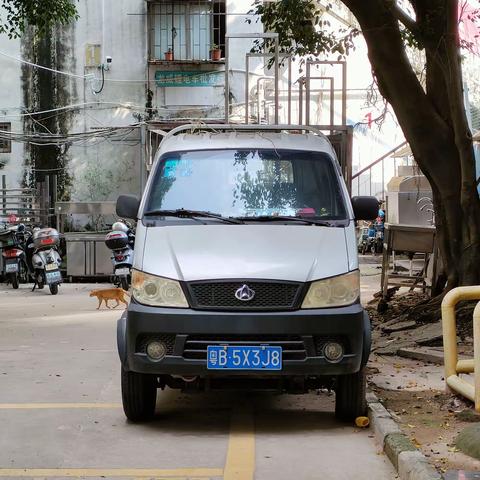 2023.5.19小区杂摄(十二)