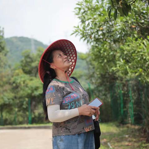 2023.5.20冷水坑绿道（五）