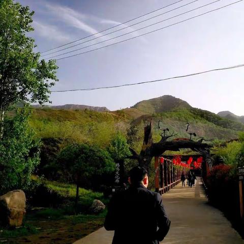 你是人间四月天！