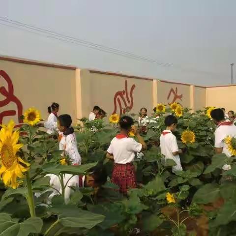 张范香城小学隆重举行劳动教育课题研究基地揭牌仪式