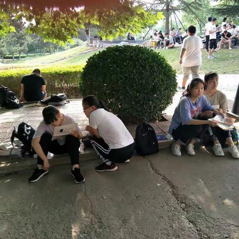郑伟楠的美篇