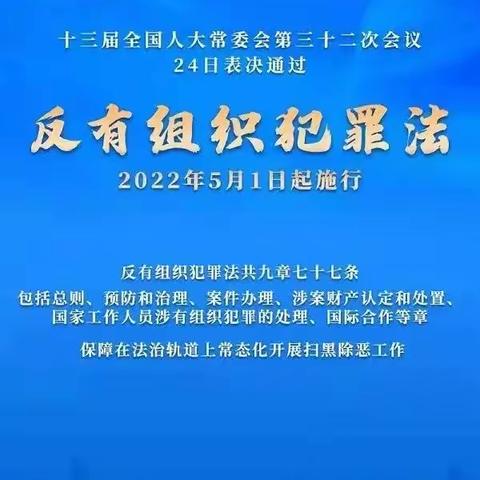 星光幼儿园《反有组织犯罪法》宣传活动