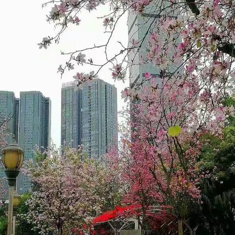 给榜样教师点个赞