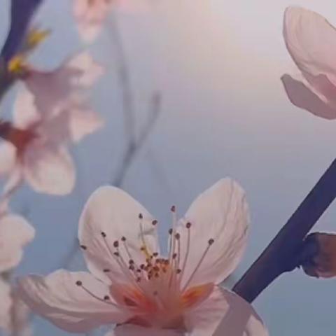 线上教学爱相伴    静待春暖花开时