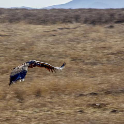 甘川滇揽胜-3.桑科&诺尔盖草原
