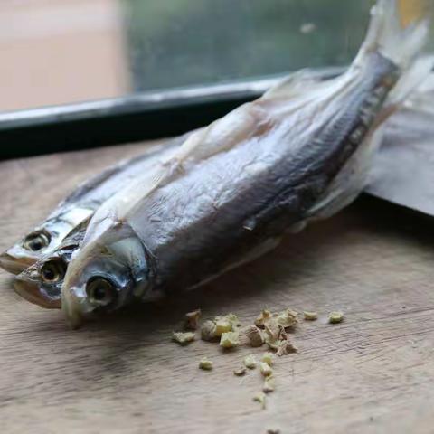 我的2019（十）——《享受一路花开花谢》之食物篇