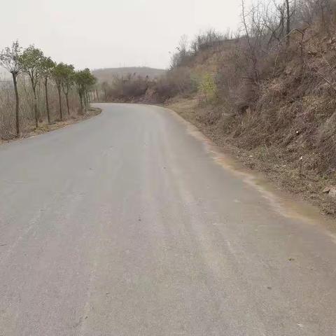 海上桥环境整治再发力:爱环境就是爱家乡