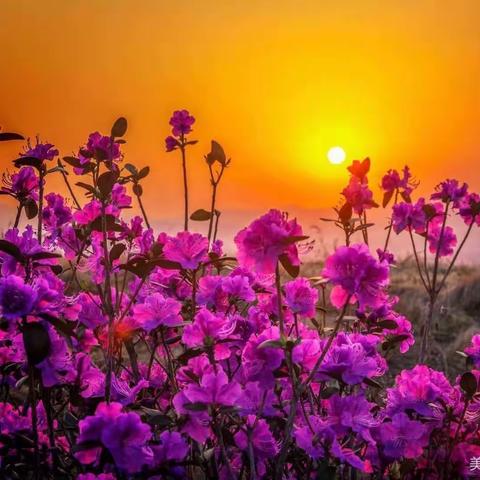 良好的人际关系