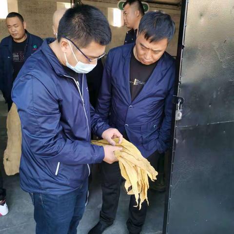提质量、保总量高标准推进烟叶收购工作