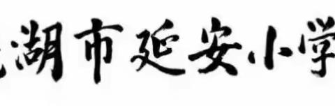 移步换景下的思维视角与时间的特定管理——记年延安小学“星”讲坛之2018新教师培训